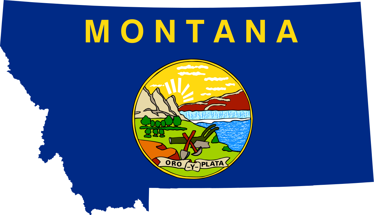 Microsoft C# VS programming Montana